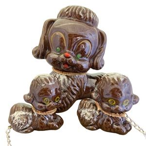 Mama Poodle & Puppies